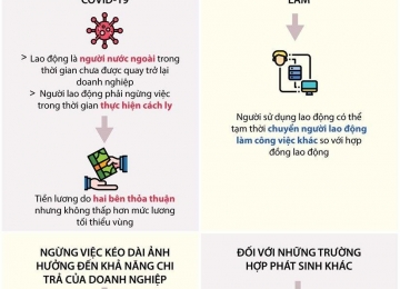 Người bị ngừng việc do COVID-19 được chi trả lương như thế nào?