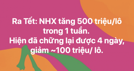 23/2: Tin vắn cuối tuần - thị trường Hoà Xuân 