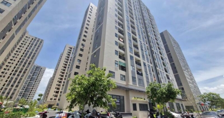 Giá chung cư Đà Nẵng: Khi 'Giấc mơ an cư' của số đông là 'Mỏ vàng' của nhà đầu tư sành sỏi