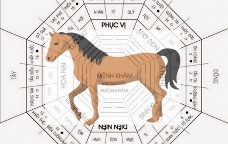 PHONG THỦY: 30s BIẾT NGAY PHONG THUỶ CHO NGƯỜI TUỔI NGỌ