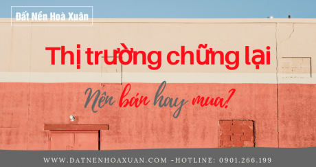 Bản tin thị trường ĐNHX - Tháng 3: một vài lô có giá giảm nhẹ, các nhà đầu tư chớp ngay cơ hội ôm hàng. 