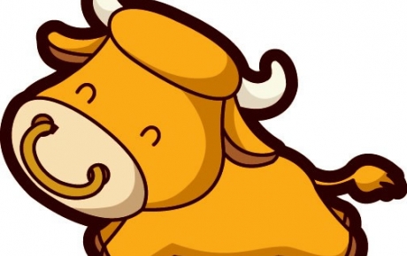 PHONG THỦY 12 CON GIÁP 2018: HƯỚNG NHÀ DÀNH CHO TUỔI SỬU