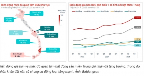 Phần 4: Khai thác Cơ hội từ một Sân chơi Minh bạch hơn