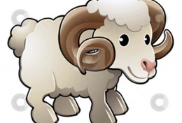 PHONG THỦY 12 CON GIÁP 2018: HƯỚNG NHÀ DÀNH CHO TUỔI MÙI