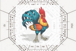 PHONG THỦY: 30s BIẾT NGAY PHONG THUỶ CHO NGƯỜI TUỔI DẬU