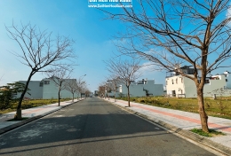 Xuân về trên phố mới