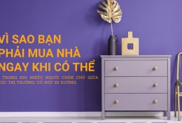 Vì sao bạn phải mua nhà đất ngay khi có thể? Giá nhà đất hầu như chưa bao giờ giảm.   