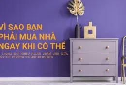 Vì sao bạn phải mua nhà đất ngay khi có thể? Giá nhà đất hầu như chưa bao giờ giảm.   