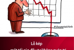 LỖ KÉP - MẶT TỐI CỦA ĐẦU TƯ KHÔNG QUẢN TRỊ