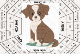 PHONG THUỶ: 30s BIẾT NGAY PHONG THUỶ CHO NGƯỜI TUỔI TUẤT.