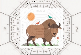PHONG THỦY: 30s BIẾT NGAY PHONG THUỶ CHO NGƯỜI TUỔI SỬU