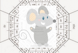 PHONG THUỶ: 30s BIẾT NGAY PHONG THUỶ CHO NGƯỜI TUỔI TÝ.