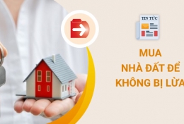 4 Loại Đất Nhà Đầu Tư Phải Biết Để Không Mất Tiền oan uổng
