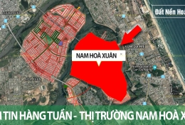 ĐIỂM TIN HÀNG TUẦN -  THỊ TRƯỜNG NAM HOÀ XUÂN 
