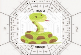 PHONG THỦY: 30s BIẾT NGAY PHONG THUỶ CHO NGƯỜI TUỔI TỊ