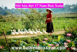Nam Hoà Xuân mở bán đợt 17 - B2.43 B2.44 & B2.45.
