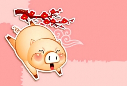 PHONG THỦY 12 CON GIÁP 2018: HƯỚNG NHÀ DÀNH CHO TUỔI HỢI.