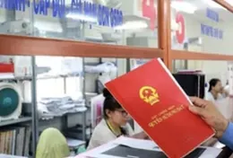 Từ 31/8, chủ tịch xã được phạt tới 250 triệu: điều này nói lên gì với người đầu tư đất?