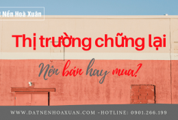 Bản tin thị trường ĐNHX - Tháng 3: một vài lô có giá giảm nhẹ, các nhà đầu tư chớp ngay cơ hội ôm hàng. 