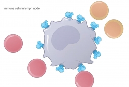 Chắc chắn đây là tin tức được mong chờ nhất mỗi ngày: ngày có vaccine đã đến gần.