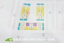 Khu đô thị sinh thái Nam Hòa Xuân Đồng Nò