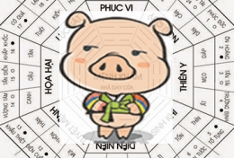 PHONG THUỶ: 30s BIẾT NGAY PHONG THUỶ CHO NGƯỜI TUỔI  HỢI