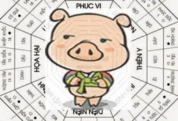 PHONG THUỶ: 30s BIẾT NGAY PHONG THUỶ CHO NGƯỜI TUỔI  HỢI