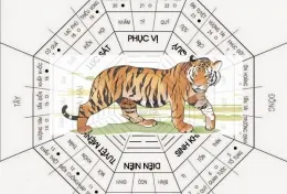 PHONG THUỶ: 30s BIẾT NGAY PHONG THUỶ CHO NGƯỜI TUỔI DẦN
