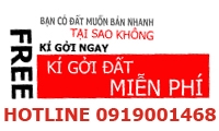 Ký gửi BDS miễn phí