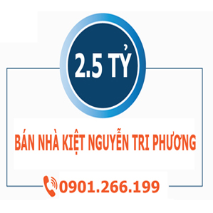 BÁN NHÀ PHỐ KIỆT NGUYỄN TRI PHƯƠNG |Sàn Đất Nền Hòa Xuân